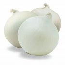 ONION Early White Grano 100 Seeds