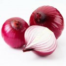 ONION Californian Red Shine 100 Seeds