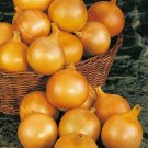 ONION Early Pukekohe Long Keeper 100 Seeds