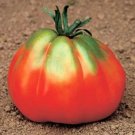 Tomato 'BIG RED PEAR' 15 Seeds