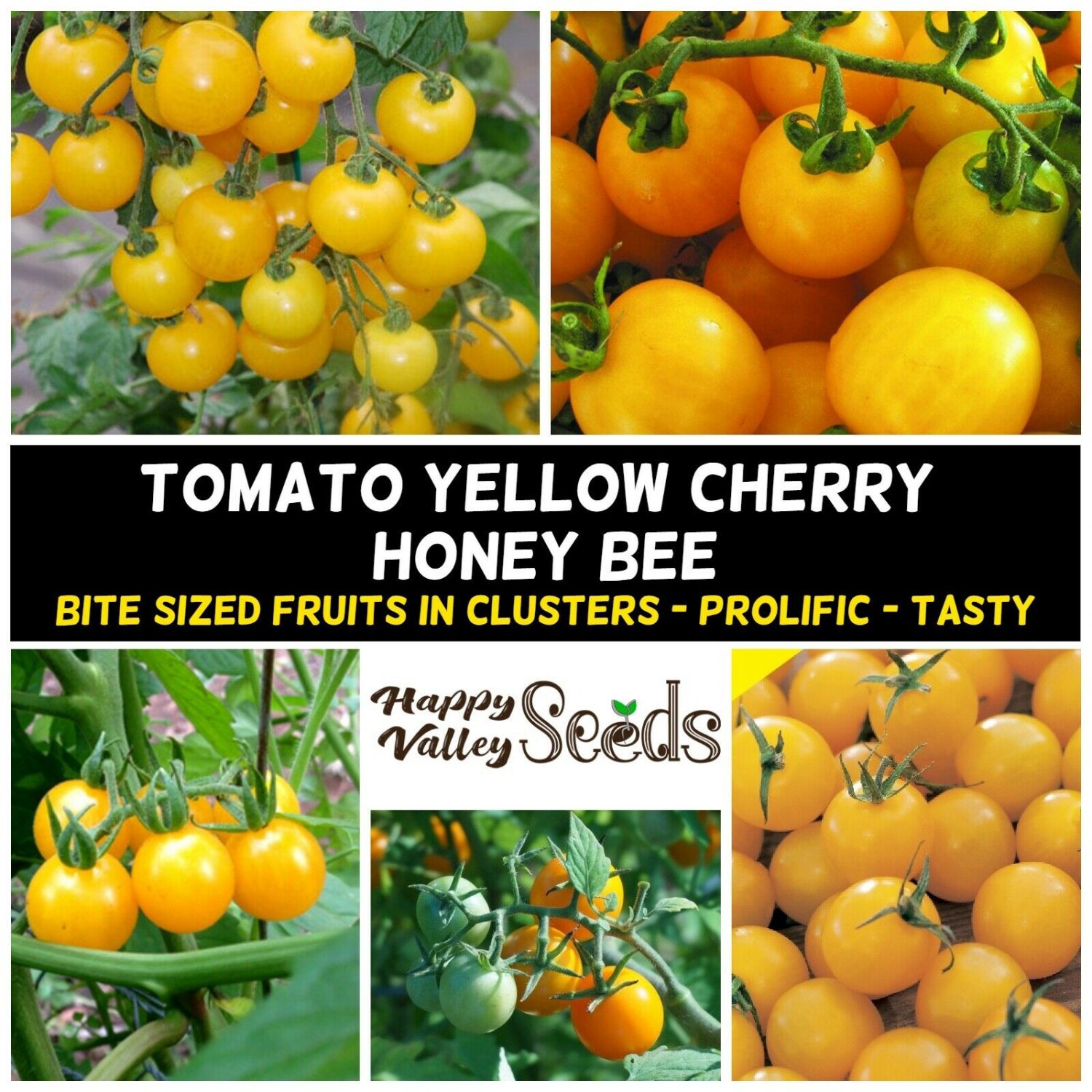CHERRY TOMATO Yellow Cherry Honey Bee 15 Seeds