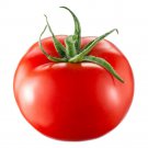 TOMATO Salad Special 15 Seeds