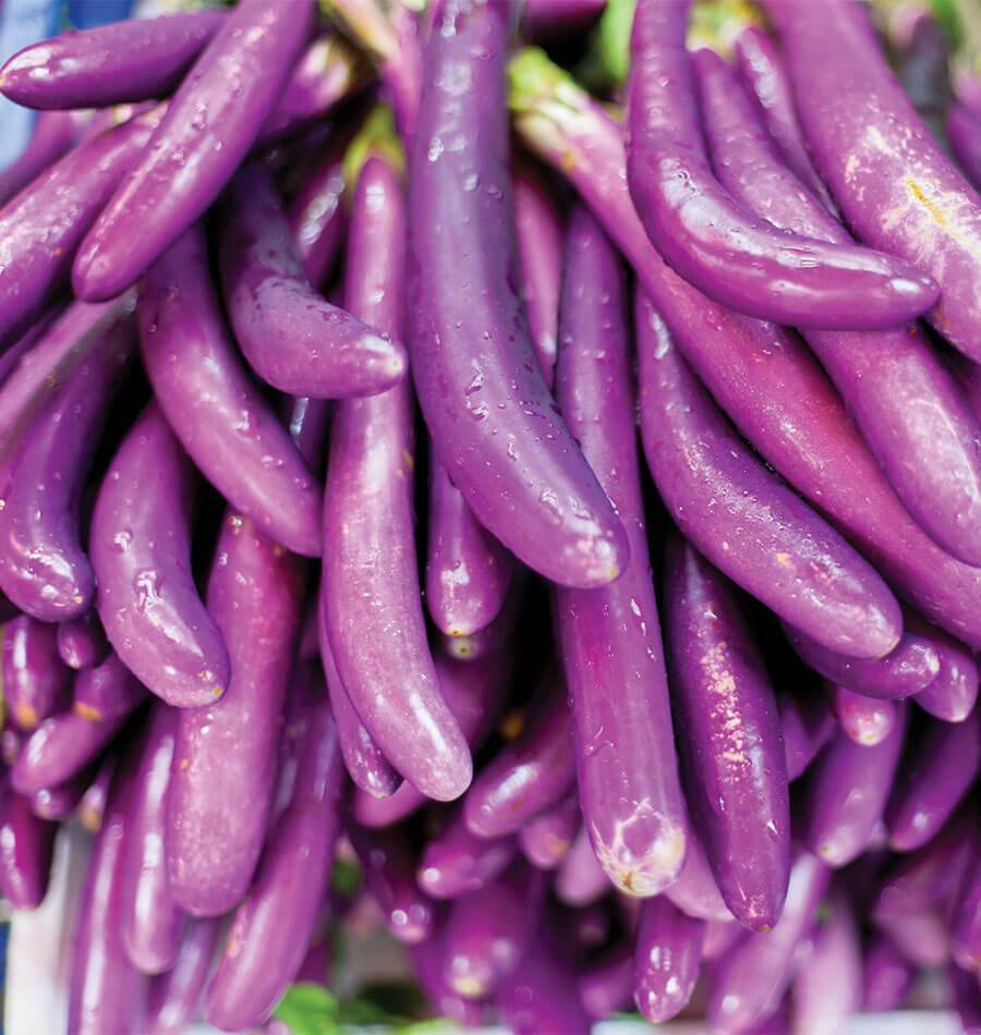 EGGPLANT 'Ping Tung' 15 Seeds