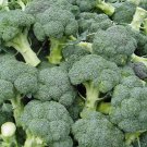 BROCCOLI Heirloom Mix 100 Seeds