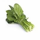 ORIENTAL SPINACH F1 (Hybrid) 50 Seeds