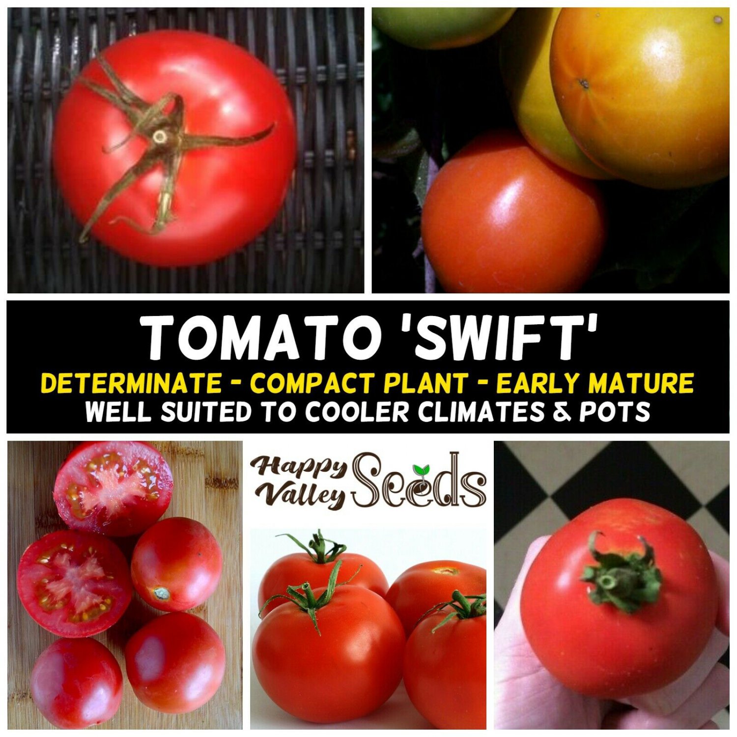 TOMATO Swift 15 Seeds