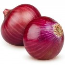Onion RED RIPPA 60 Seeds