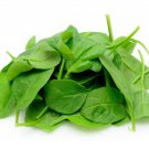 BABY SPINACH 50 Seeds