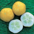 CUCUMBER Lemon 15 Seeds