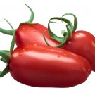 Tomato 'SAN MARZANO' 15 Seeds
