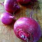 Turnip HIDA BENI F1 50 Seeds