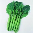 KAILAAN Chinese Kale Broccoli 100 Seeds