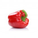 Capsicum CALIFORNIAN WONDER RED 10 Seeds