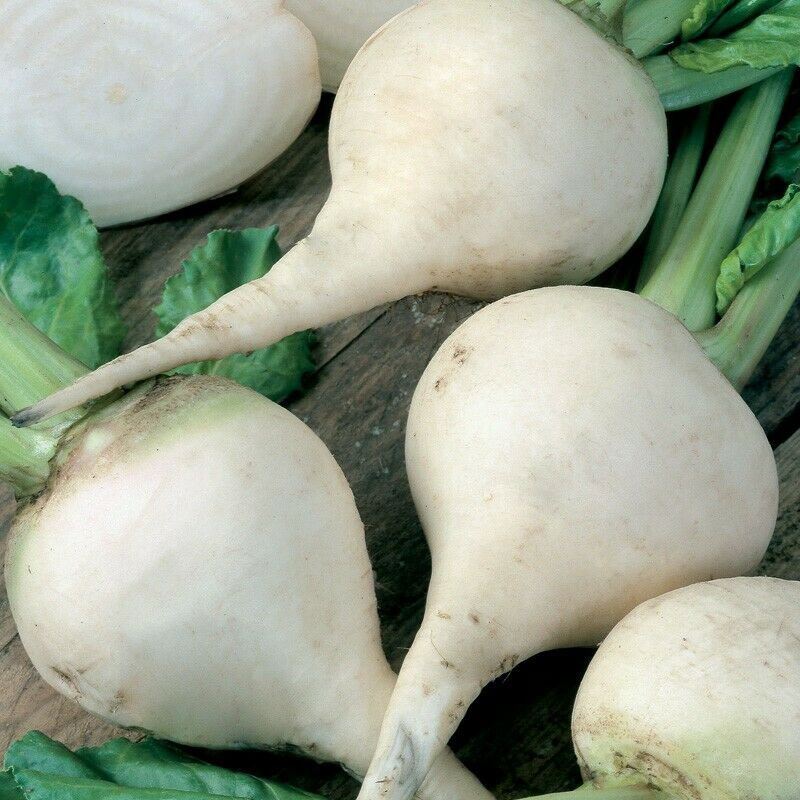 Beetroot White Albino 30 Seeds