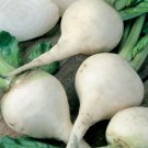 Beetroot White Albino 30 Seeds
