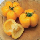 Tomato YELLOW STUFFER 15 Seeds