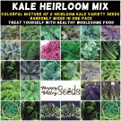KALE Heirloom Mix 100 Seeds