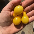 CHERRY TOMATO Yellow Pear 15 Seeds