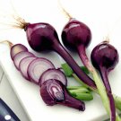 BUNCHING ONION Purplette 50 Seeds