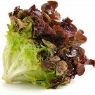 LETTUCE Ruby Red 150 Seeds