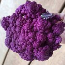 Cauliflower PURPLE SICILY 50 Seeds
