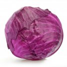 Cabbage RED ACRE 100 Seeds