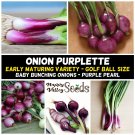 SPRING ONION Purplette 50 Seeds