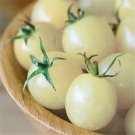 Cherry Tomato Snow White 50 Seeds