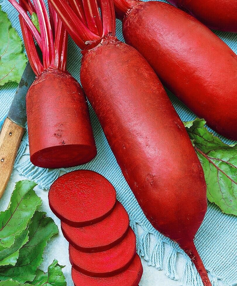 Beet Long Beetroot Dark Red 100 Seeds