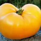 Beefsteak Tomato Lemon Giant 50 Seeds