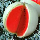 Watermelon Snow White Rare 20 Seeds