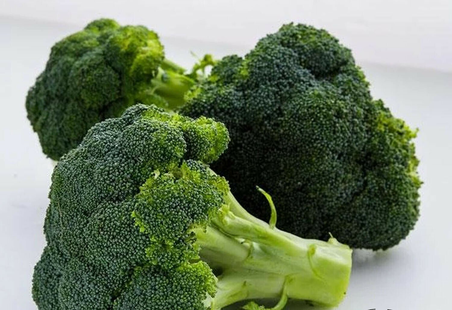 Broccoli Seeds Waltham 200 Seeds