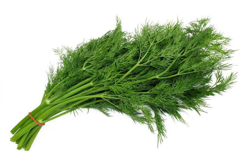 Bouquet Dill 200 Seeds