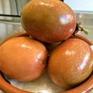 PUERTO RICAN HEIRLOOM PINK 20 Seeds