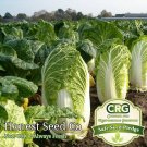 Napa Cabbage Michihili Heading Chinese 600 Seeds