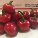 HAWASHIN’S Hot Cherry Bomb Peppers 20 Seeds