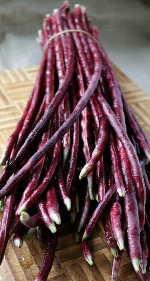 Purple-red Yard Long Bean 15 seeds