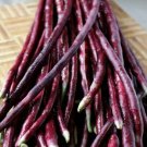 Purple-red Yard Long Bean 15 seeds