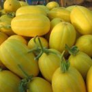 Fresh Sweet Organic Yellow Melon 20 Seeds