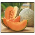 Cantaloupe Melon 40 Seeds