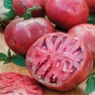 CHEROKEE PURPLE Heirloom Beefsteak Tomato 30 Seeds