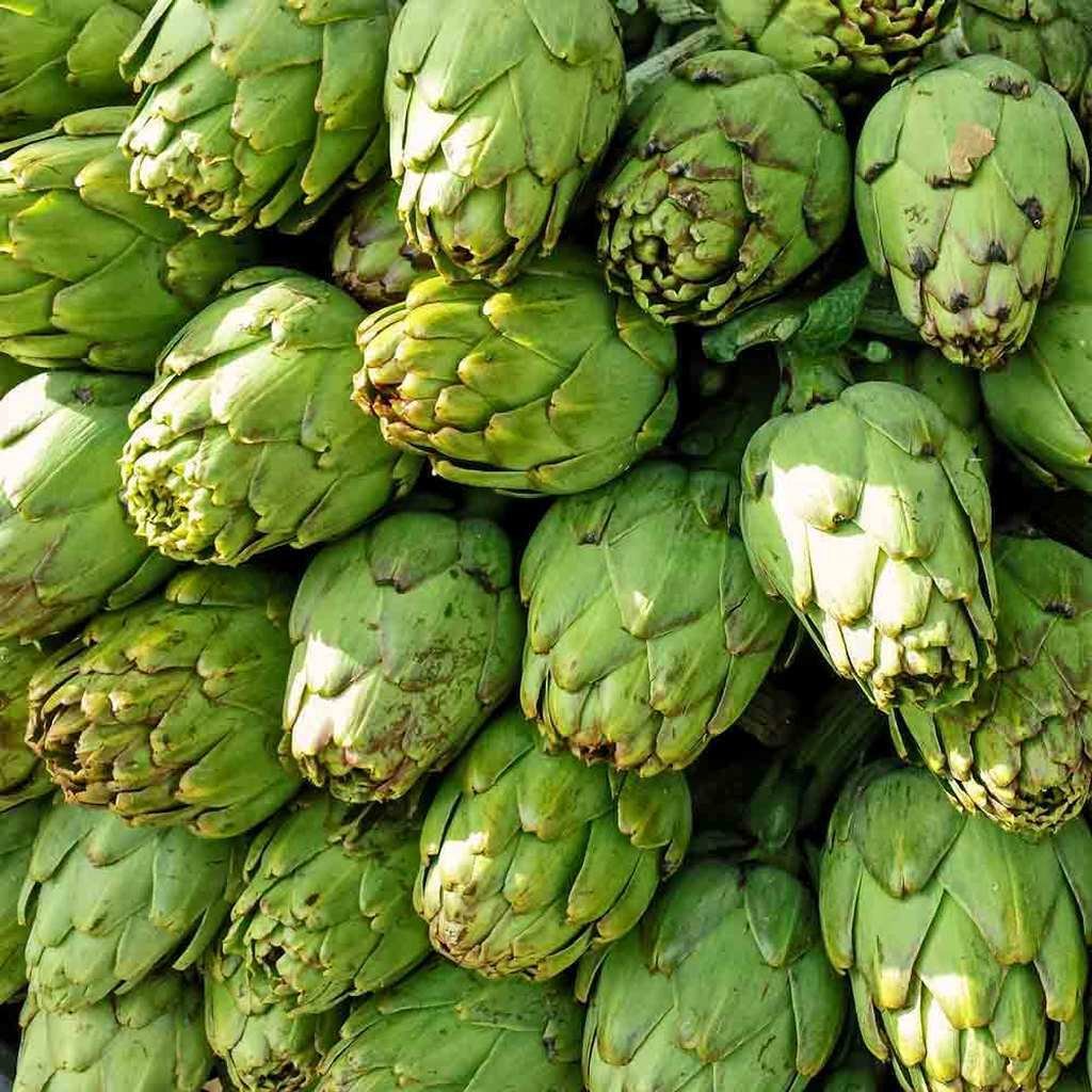 Artichoke 25 Seeds