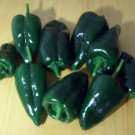 ANCHO POBLANO PEPPER 30 SEEDS