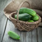 Spacemaster Cucumber 60 Seeds