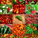 SPICY PEPPERS MIX 50 Seeds