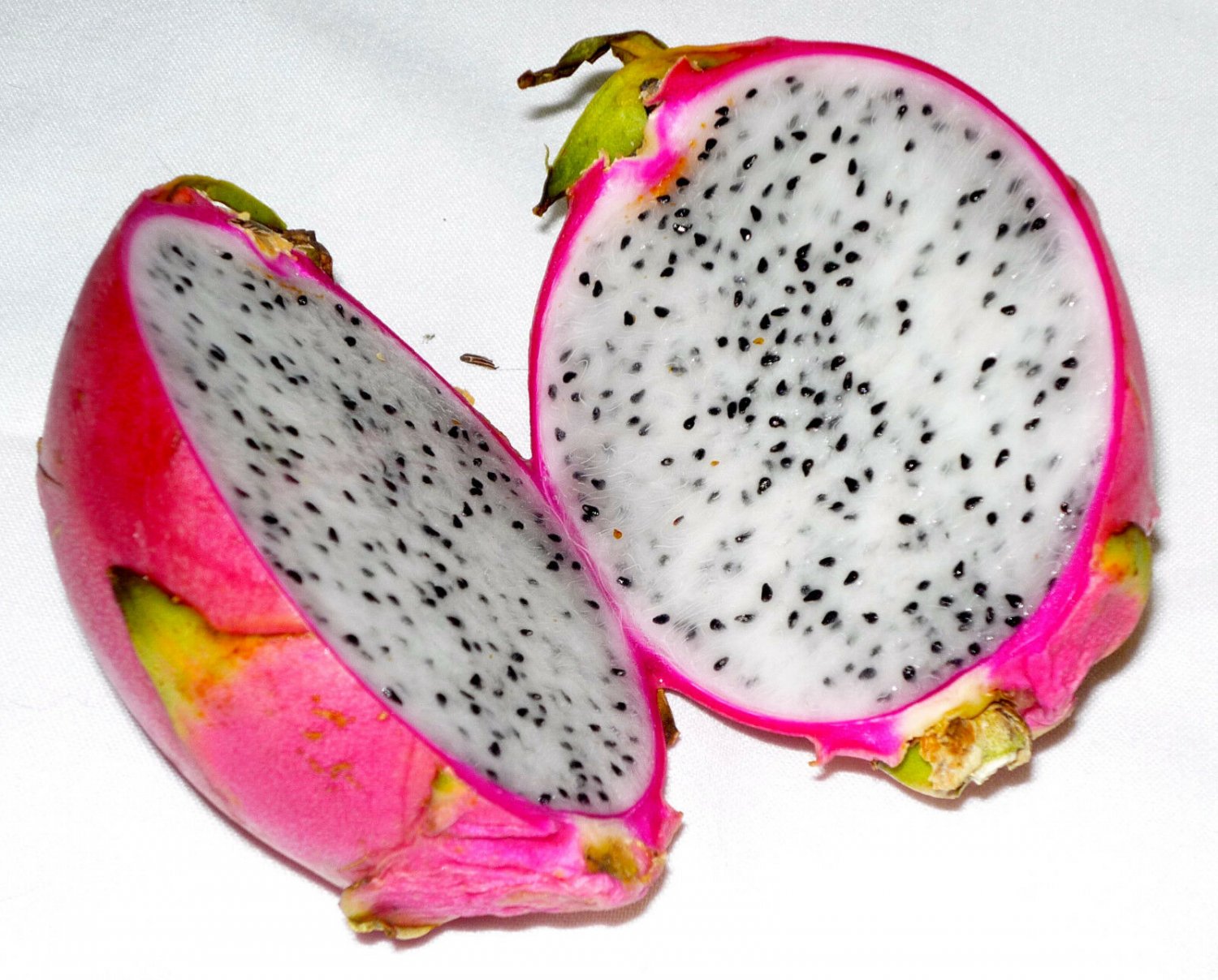 Dragon fruit pitaya white 500 SEEDS