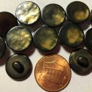 12 Pearlized Dark Olive Green Plastic Shank Buttons Almost 9/16" 13.5mm 10332