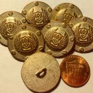 7 Copper Tone Metal Shank Buttons White Accent 7/8" 23mm # 5808