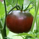 Black Krim Tomato 12 Seeds Fresh