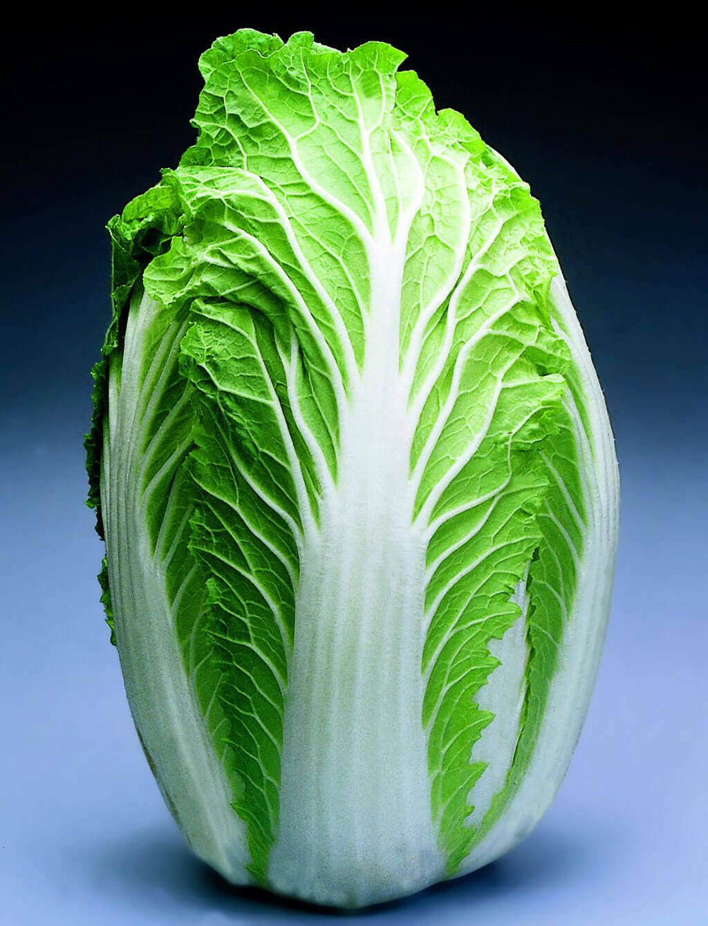 China Express Chinese Cabbage 25 Seeds Fresh